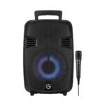 Amplify wingman seriers 8party speaker with microphone black